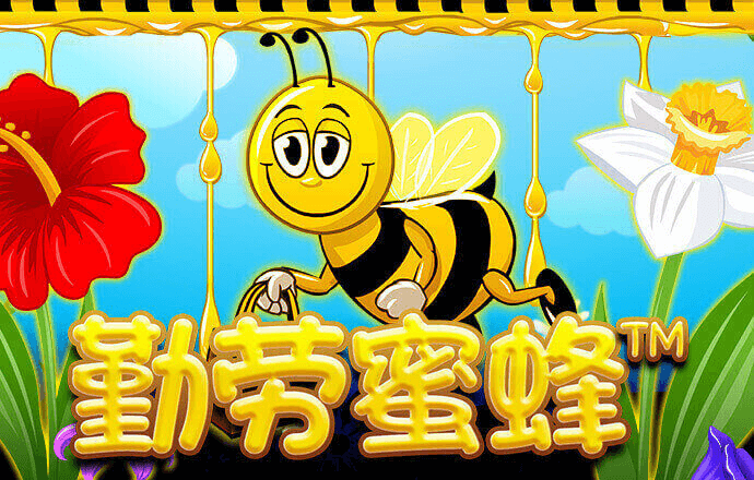 ob体育平台登录
