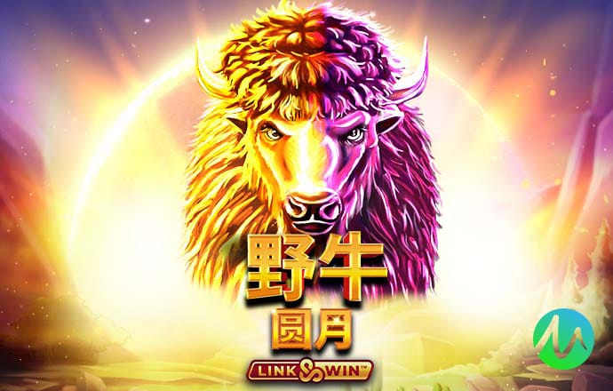 6163银河官网
